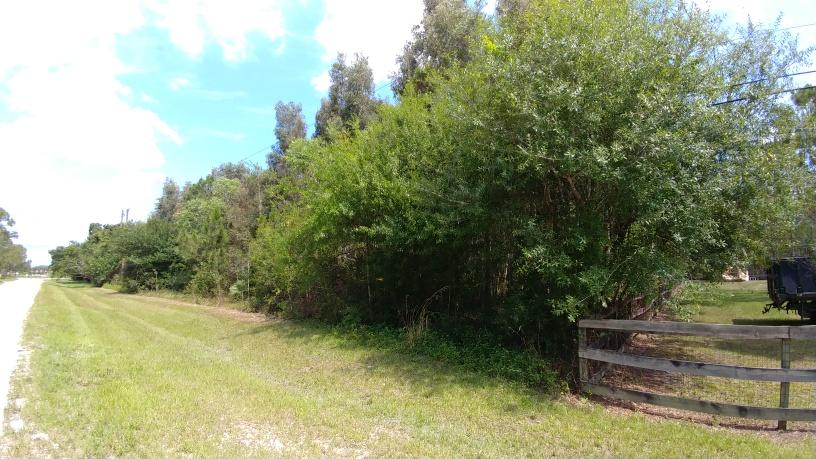 18683 43rd Road North Loxahatchee, FL 33470 - Photo 5 of 7 43rd RD