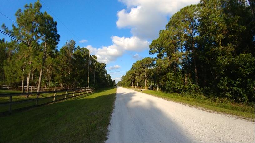 18683 43rd Road North Loxahatchee, FL 33470 - Photo 7 of 7 43rd RD-road eastern view