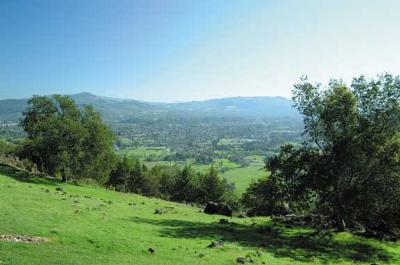 3900 Rolling Oaks Road Santa Rosa, CA 95404 - Photo 12 of 12 a view of a grassy field with trees in the background