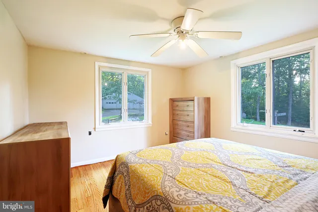 a view of a back yard of a building