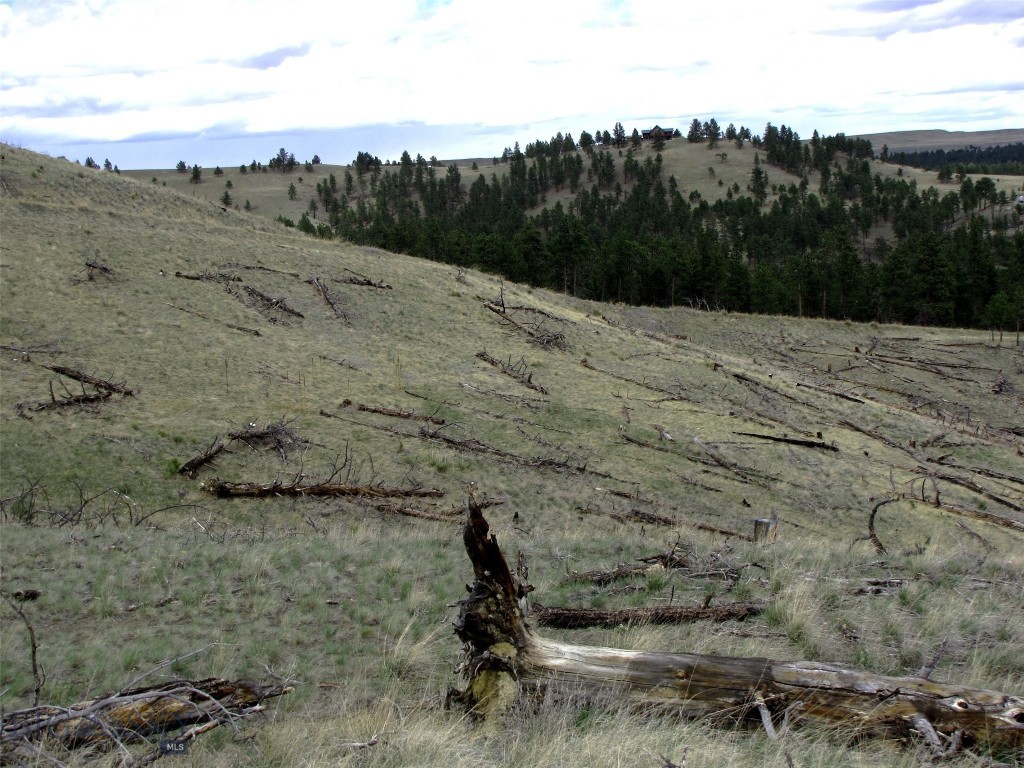 Tbd Tbd Wild Turkey Ridge Road Columbus, MT 59019 - Photo 45 of 55 Gallery Image 45