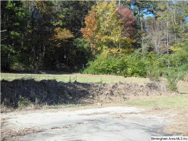 5408 Overton Road Birmingham, AL 35210 - Photo 9 of 11