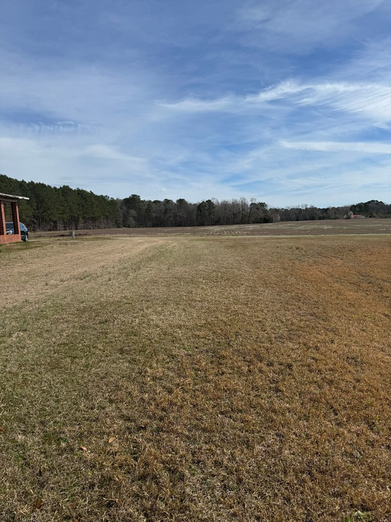 1142 Pearson Road Manning, SC 29102 - Photo 19 of 20 Gallery Image 19