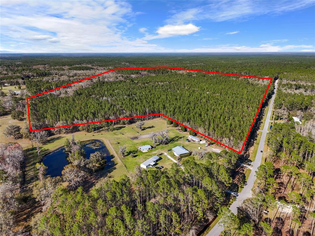 1317 Northeast Drew Road Lake City, FL 32055 - Photo 2 of 32