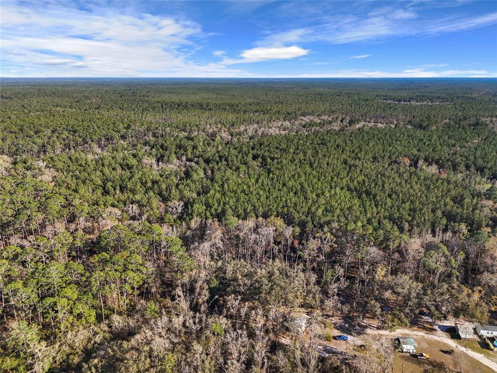 1317 Northeast Drew Road Lake City, FL 32055 - Photo 26 of 32 a view of a city with a houses