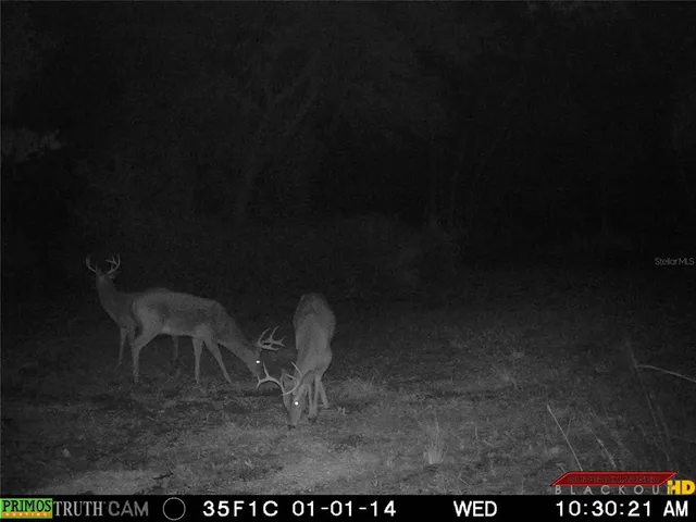 a view of a yard with table and chairs