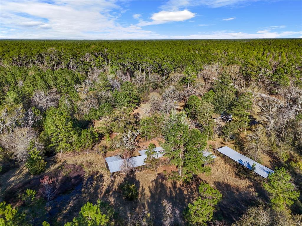 1317 Northeast Drew Road Lake City, FL 32055 - Photo 3 of 32 a view of an outdoor space and a lake view