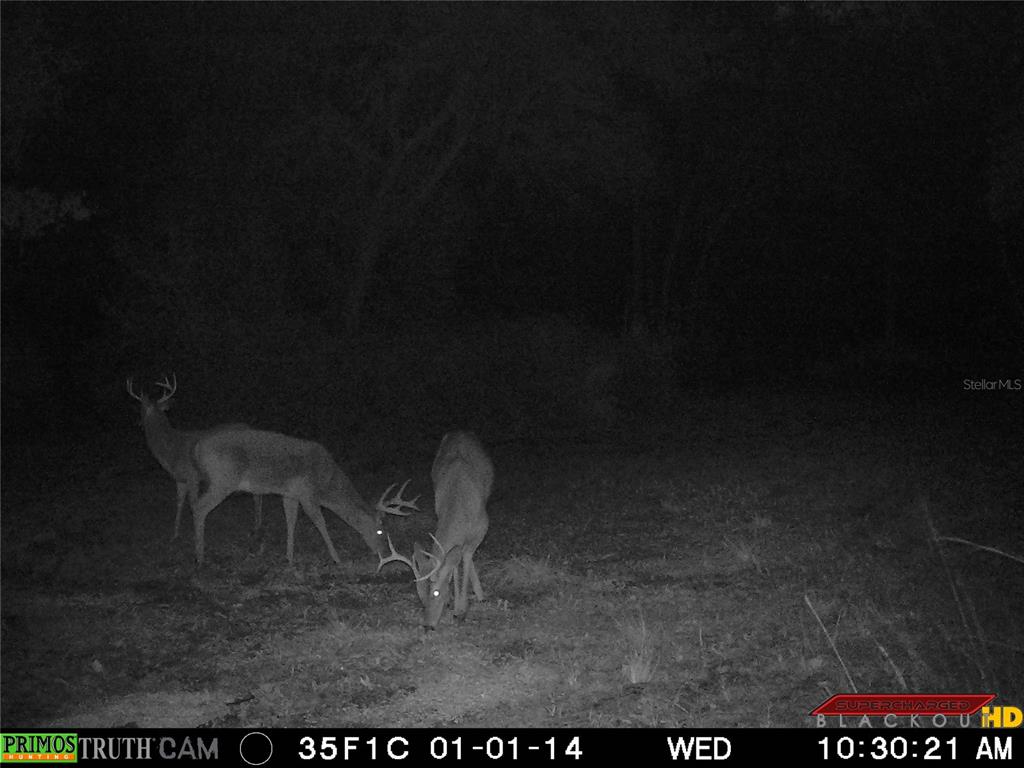 1317 Northeast Drew Road Lake City, FL 32055 - Photo 31 of 33