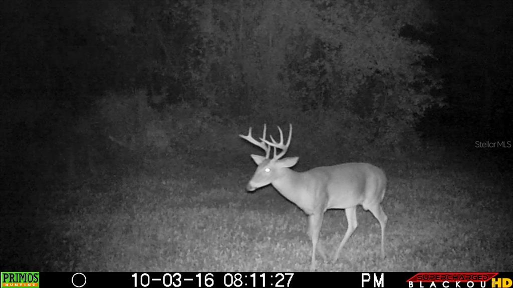 1317 Northeast Drew Road Lake City, FL 32055 - Photo 32 of 33