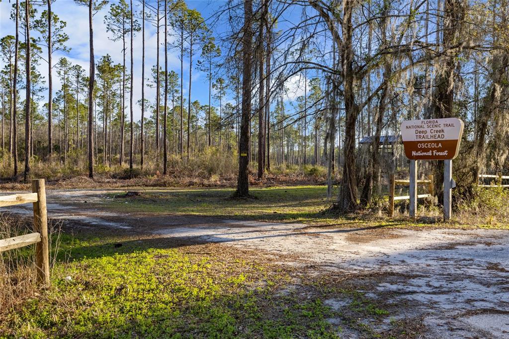 1317 Northeast Drew Road Lake City, FL 32055 - Photo 4 of 32 a view of street with large trees