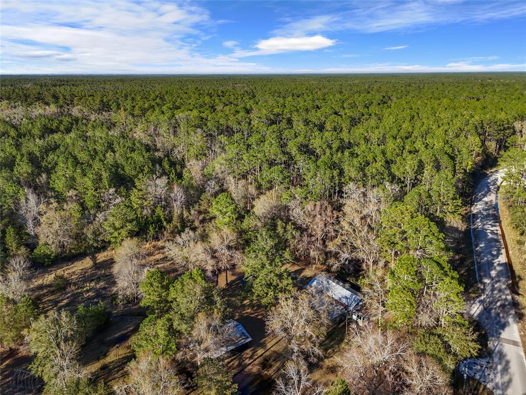 1317 Northeast Drew Road Lake City, FL 32055 - Photo 6 of 32 a view of a yard with an outdoor space