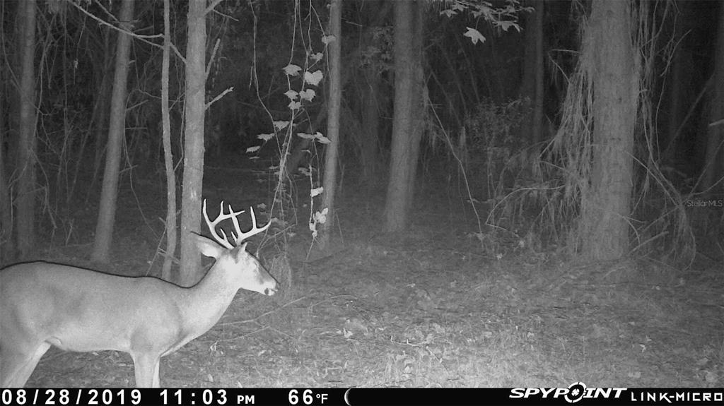 1317 Northeast Drew Road Lake City, FL 32055 - Photo 8 of 32 a view of water heater room