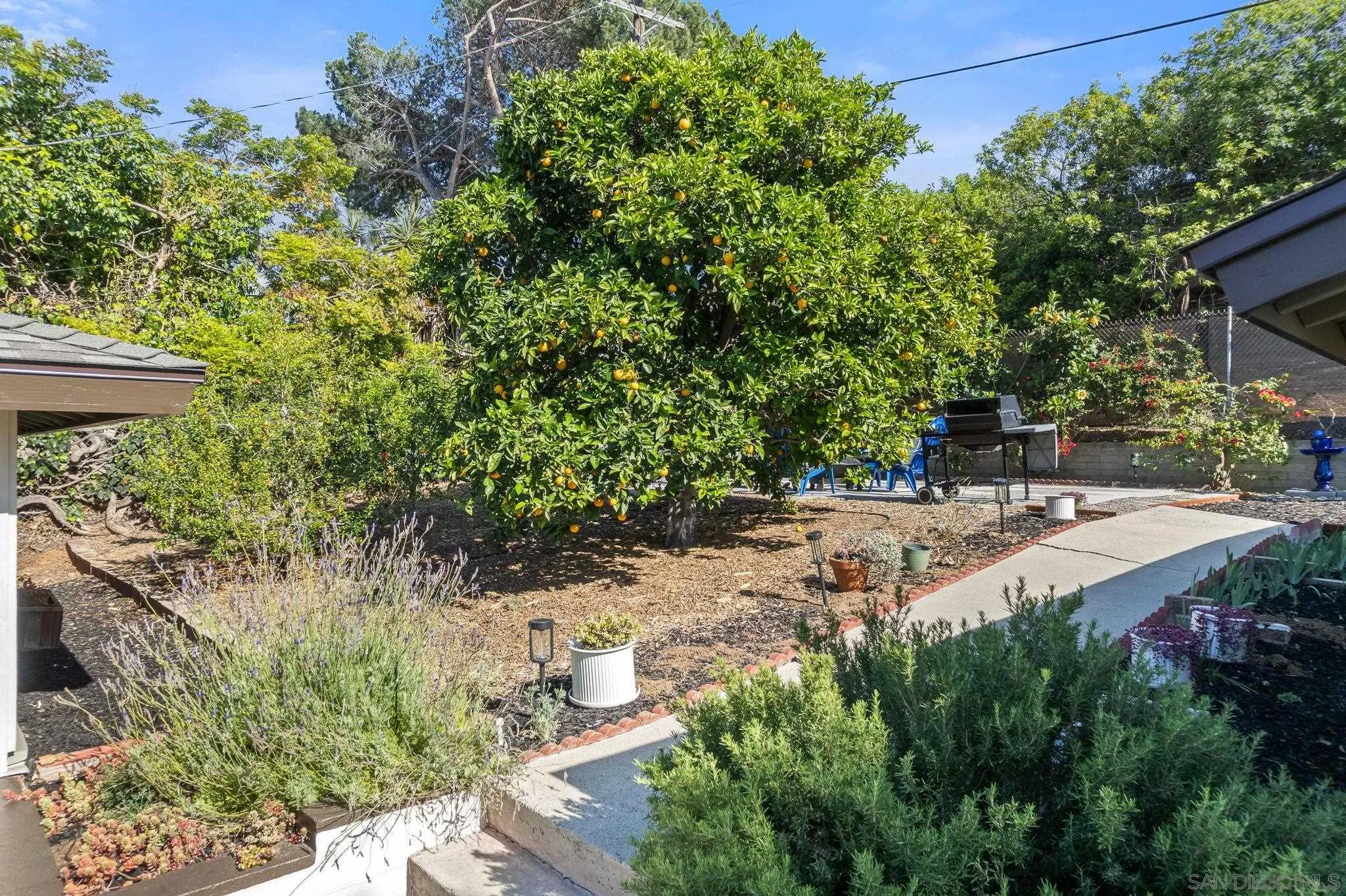 3958 Kenwood Drive Spring Valley, CA 91977 - Photo 21 of 24 Yard