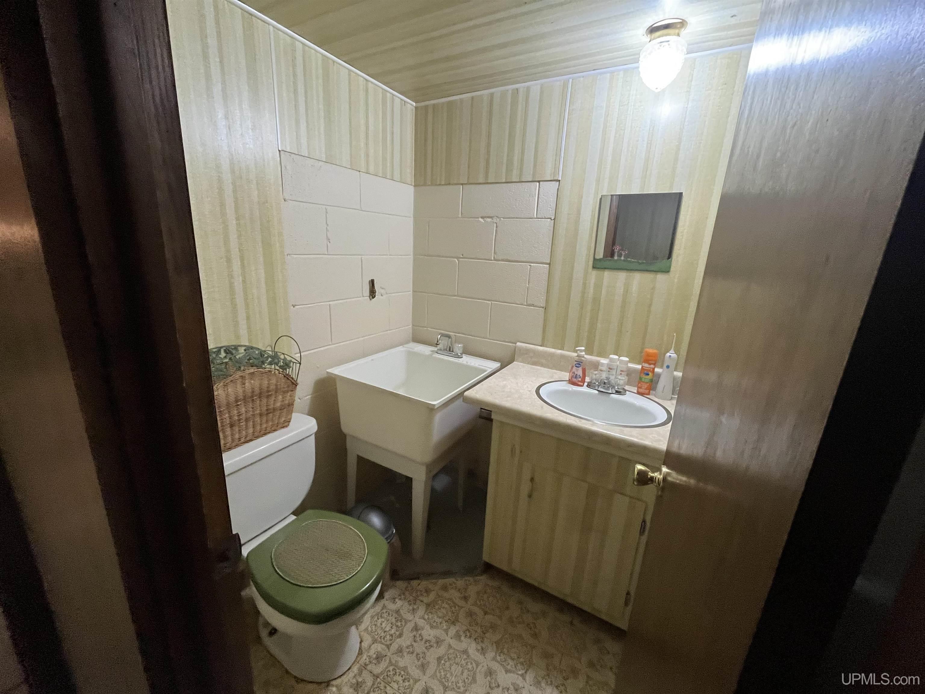 255 South Rose Street Ishpeming, MI 49849 - Photo 48 of 68
