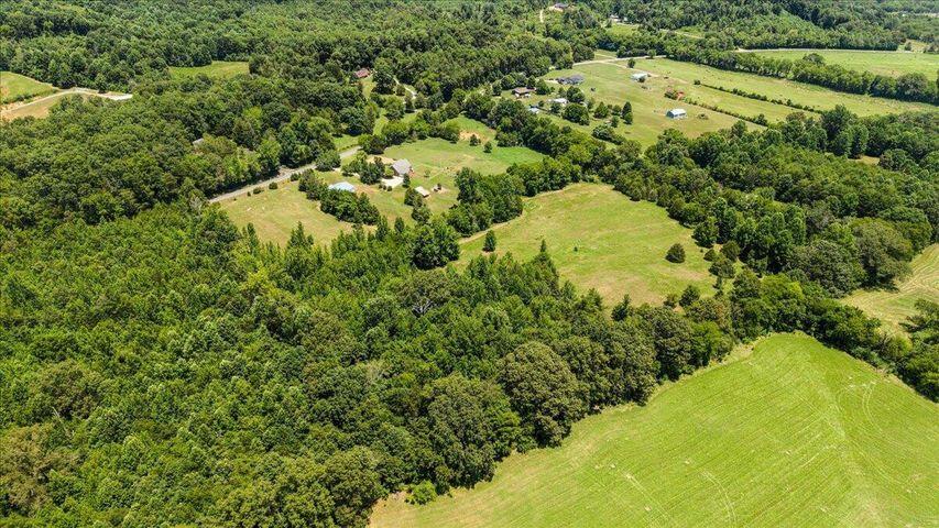 Lot 1 County Road, Unit 700 Riceville, TN 37370 - Photo 9 of 17 20250715185255491715000000-o