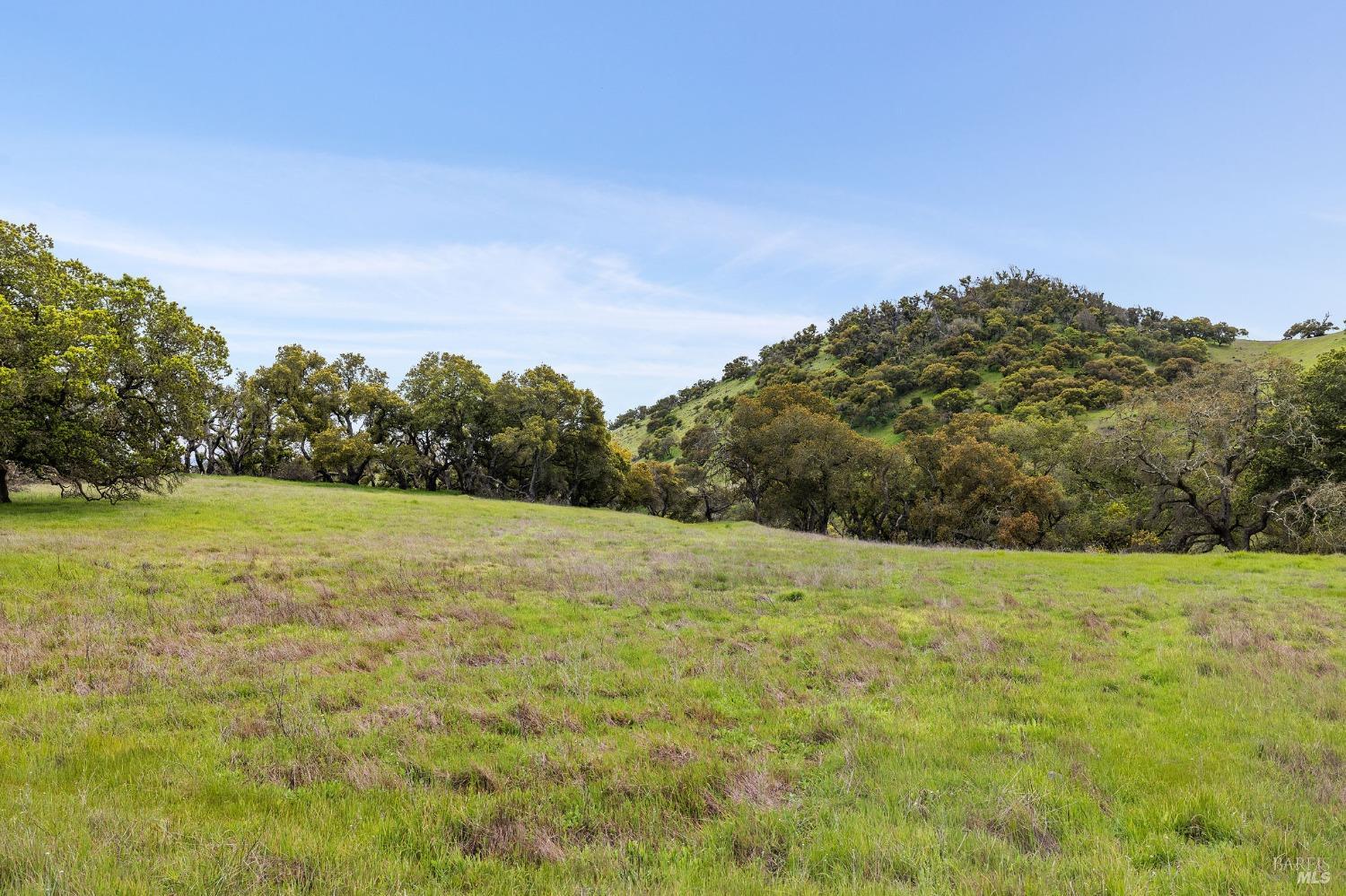 0 Highway 12 Napa, CA 94559 - Photo 14 of 26