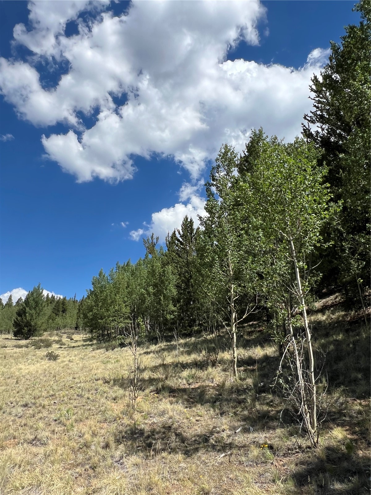 152 Co Road Fairplay, CO 80440 - Photo 13 of 20