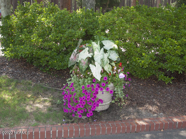 4 Lake Pinehurst Villas Road Pinehurst, NC 28374 - Photo 50 of 56 Flowers in the Village of Pinehurst