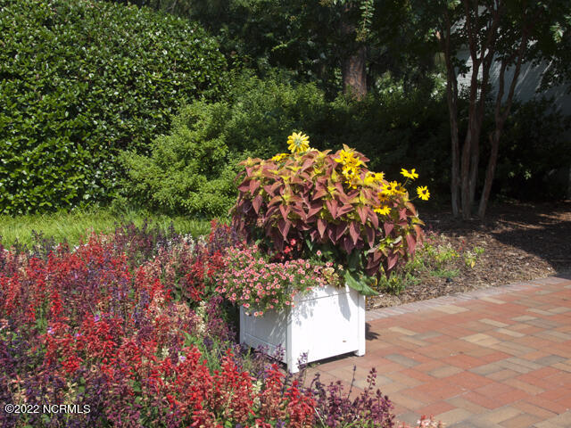 4 Lake Pinehurst Villas Road Pinehurst, NC 28374 - Photo 53 of 56 Flowers in the Village of Pinehurst (1)