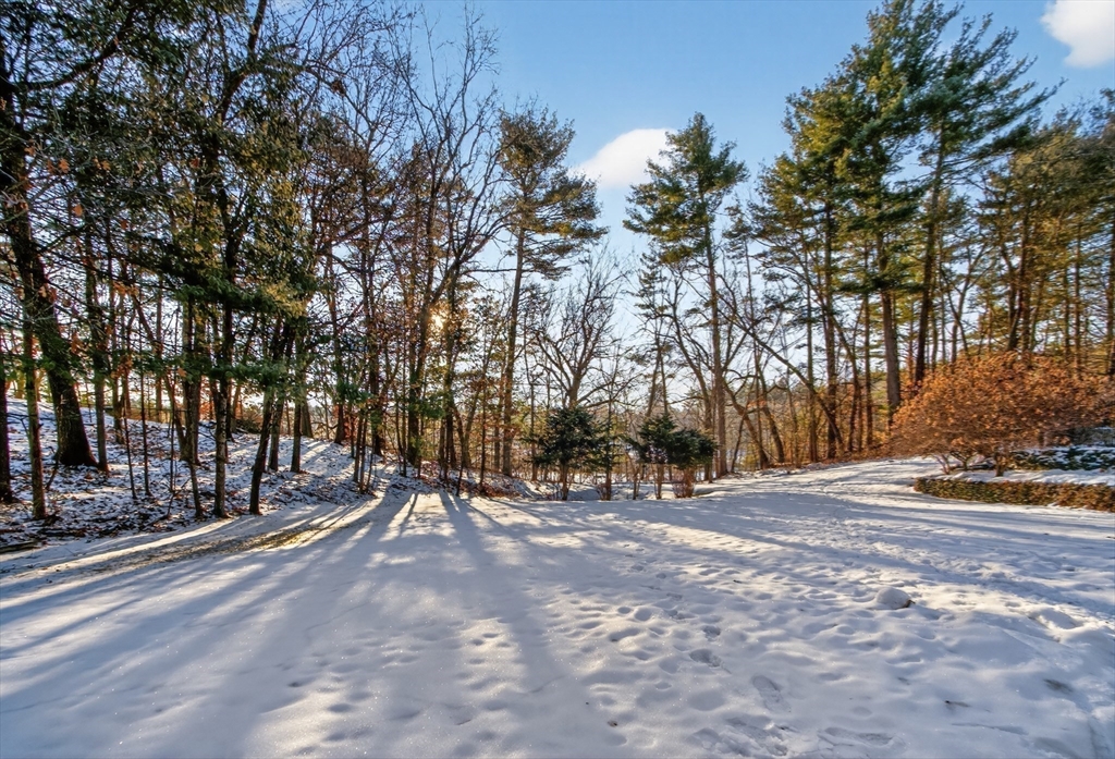 33 Overlook Drive Groton, MA 01450 - Photo 37 of 41 a view of outdoor space with trees