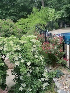 33 Overlook Drive Groton, MA 01450 - Photo 40 of 41 a view of a lush green forest