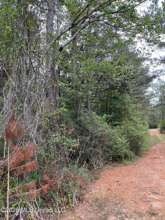 $79,900 | 49 Hwy Brooklyn Ms 39425, Brooklyn, MS 39425