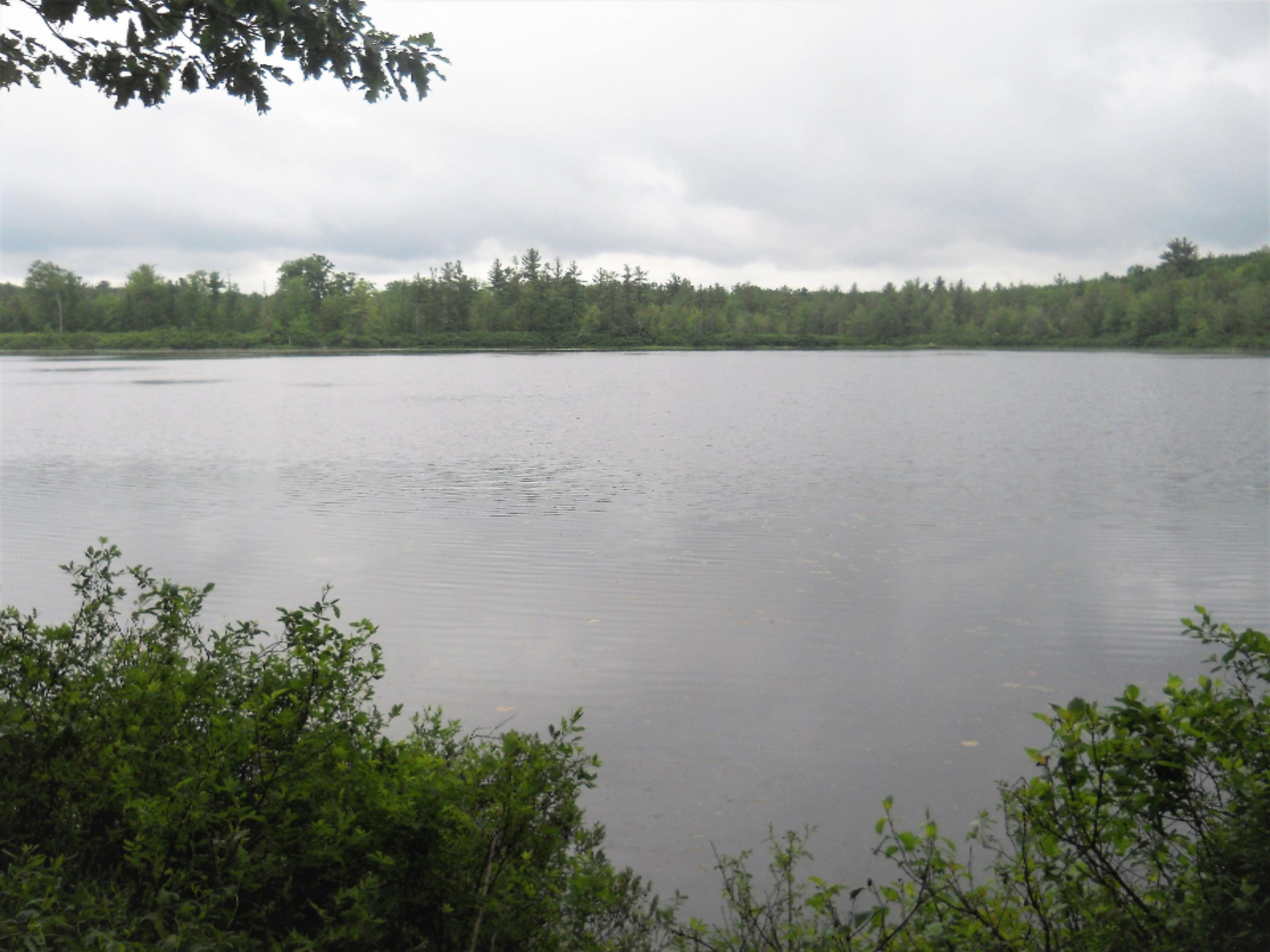 8613 8 Mile Road Kaleva, MI 49645 - Photo 5 of 18 DSCN0107 (2)