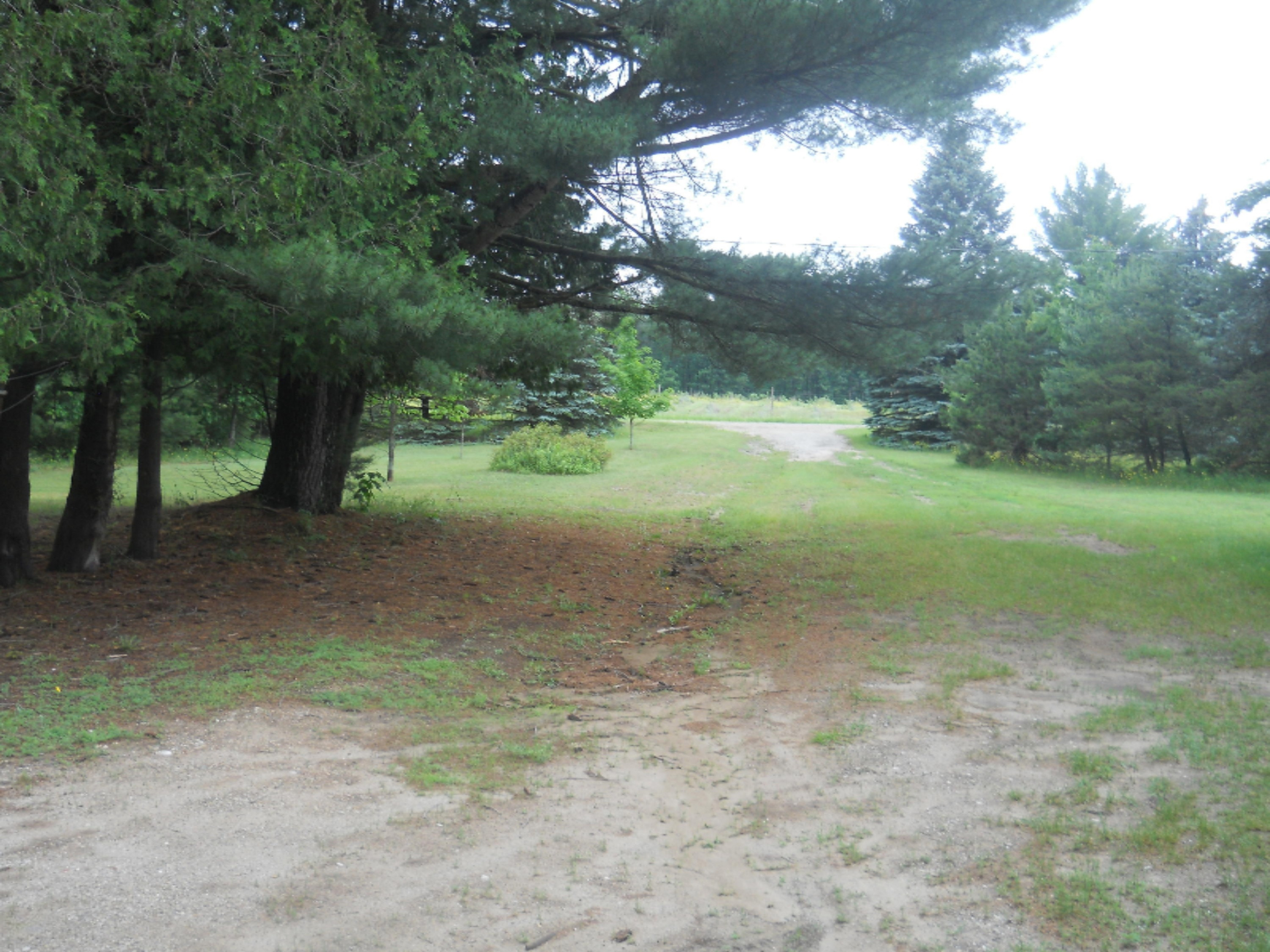 8613 8 Mile Road Kaleva, MI 49645 - Photo 8 of 18 DSCN0113