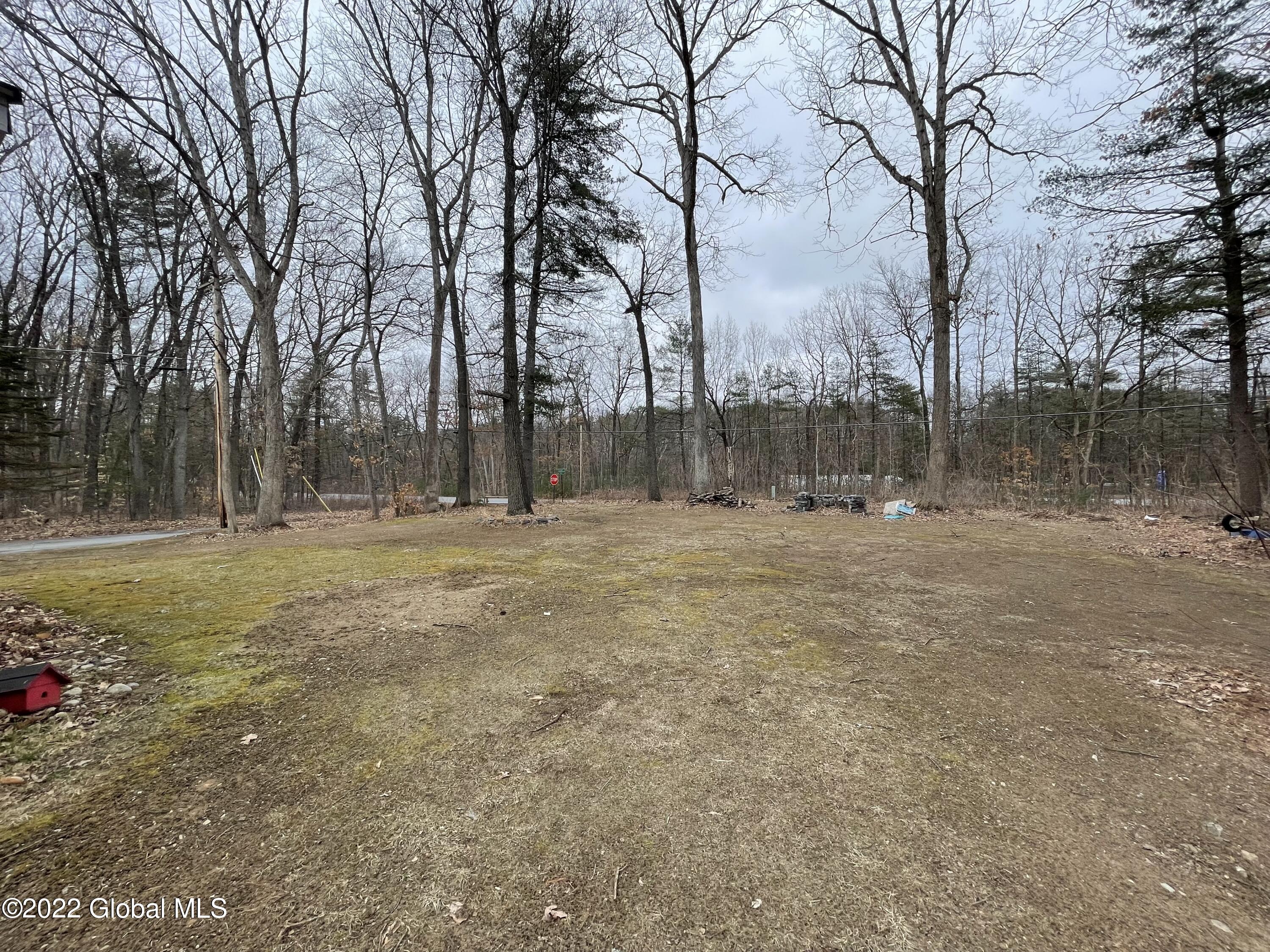 5 Wolfe Road Queensbury, NY 12804 - Photo 10 of 12 Yard