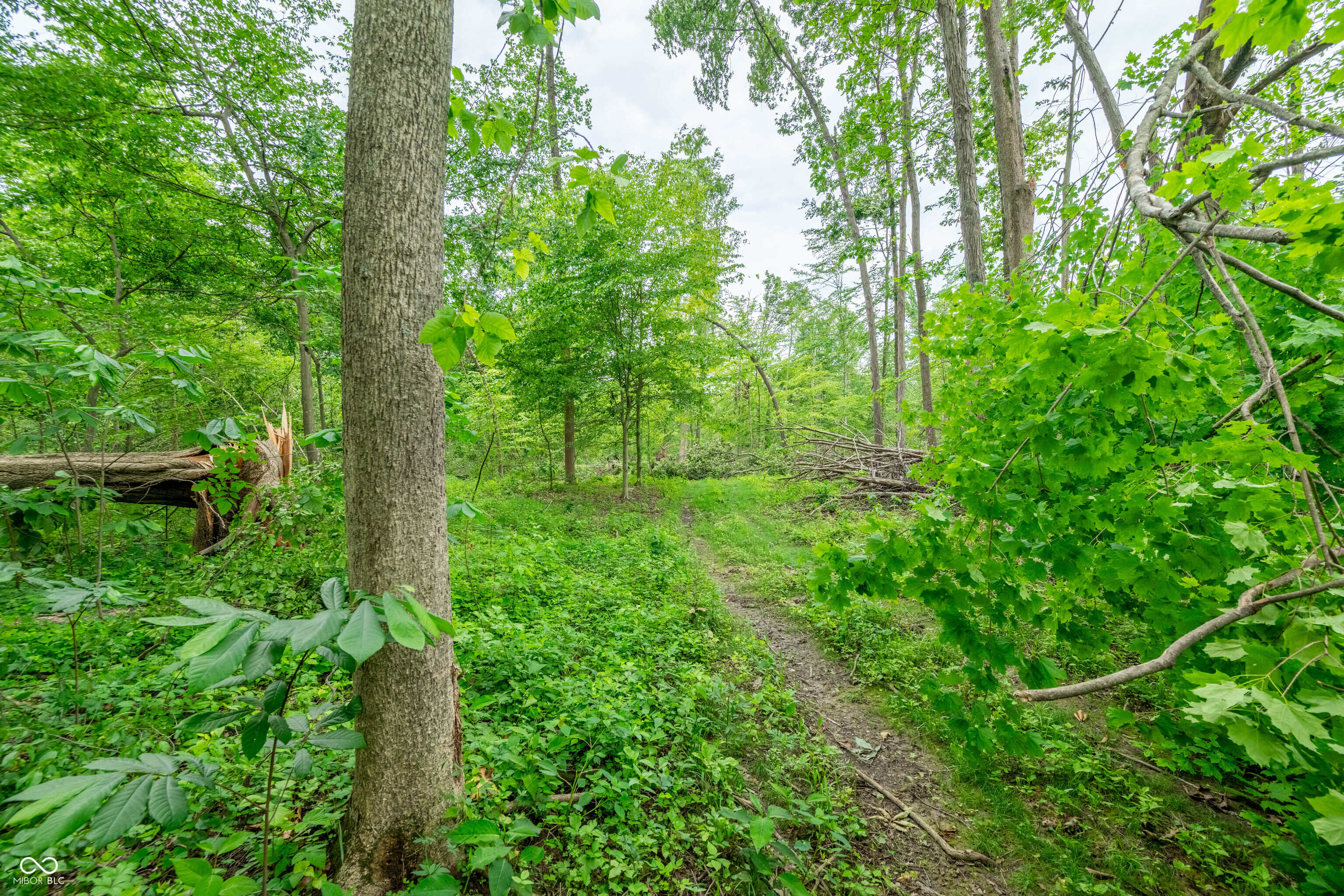 Tract 6 Hudson Hill Road Gosport, IN 47460 - Photo 11 of 21