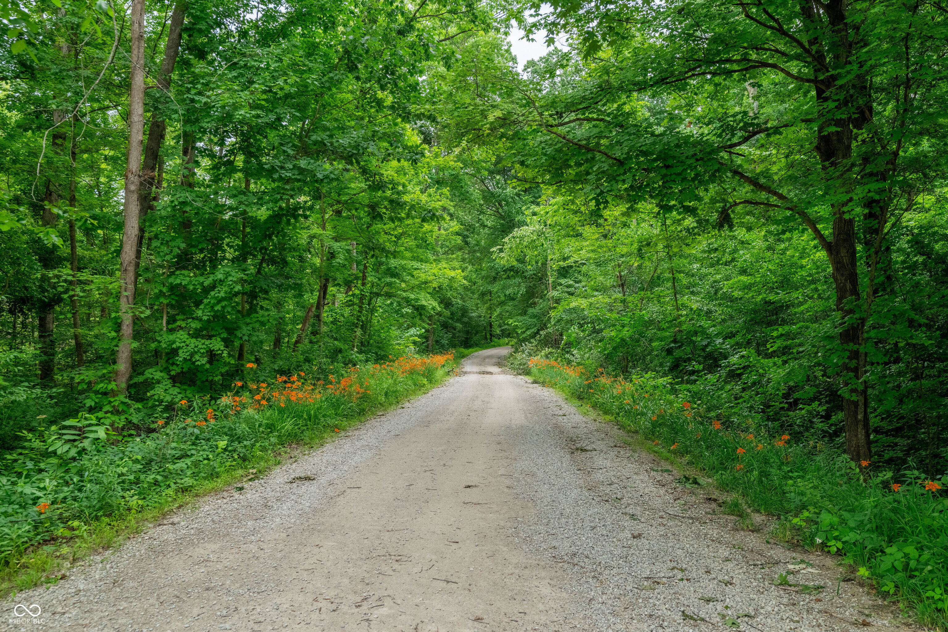 Tract 6 Hudson Hill Road Gosport, IN 47460 - Photo 12 of 21