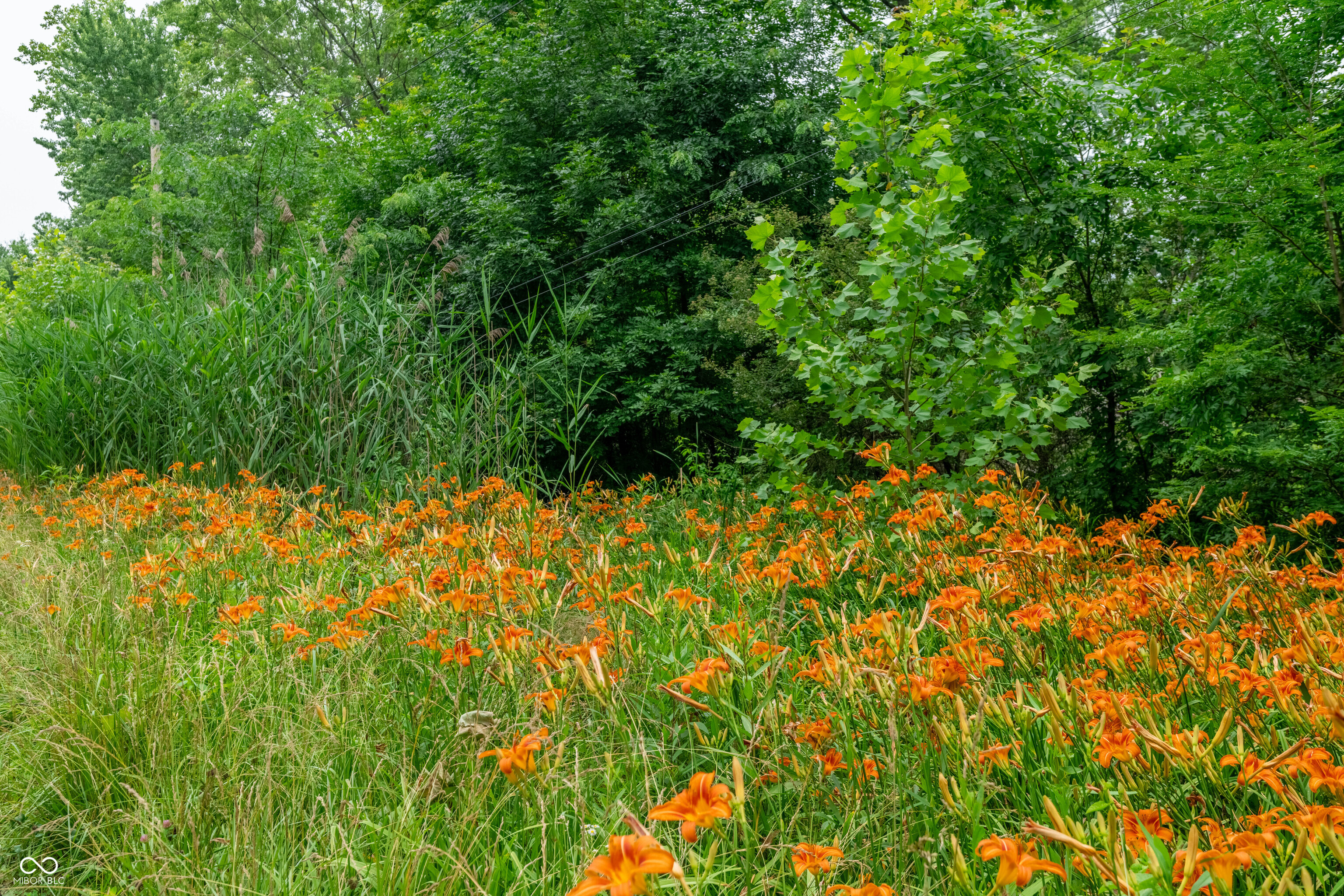 Tract 6 Hudson Hill Road Gosport, IN 47460 - Photo 13 of 21