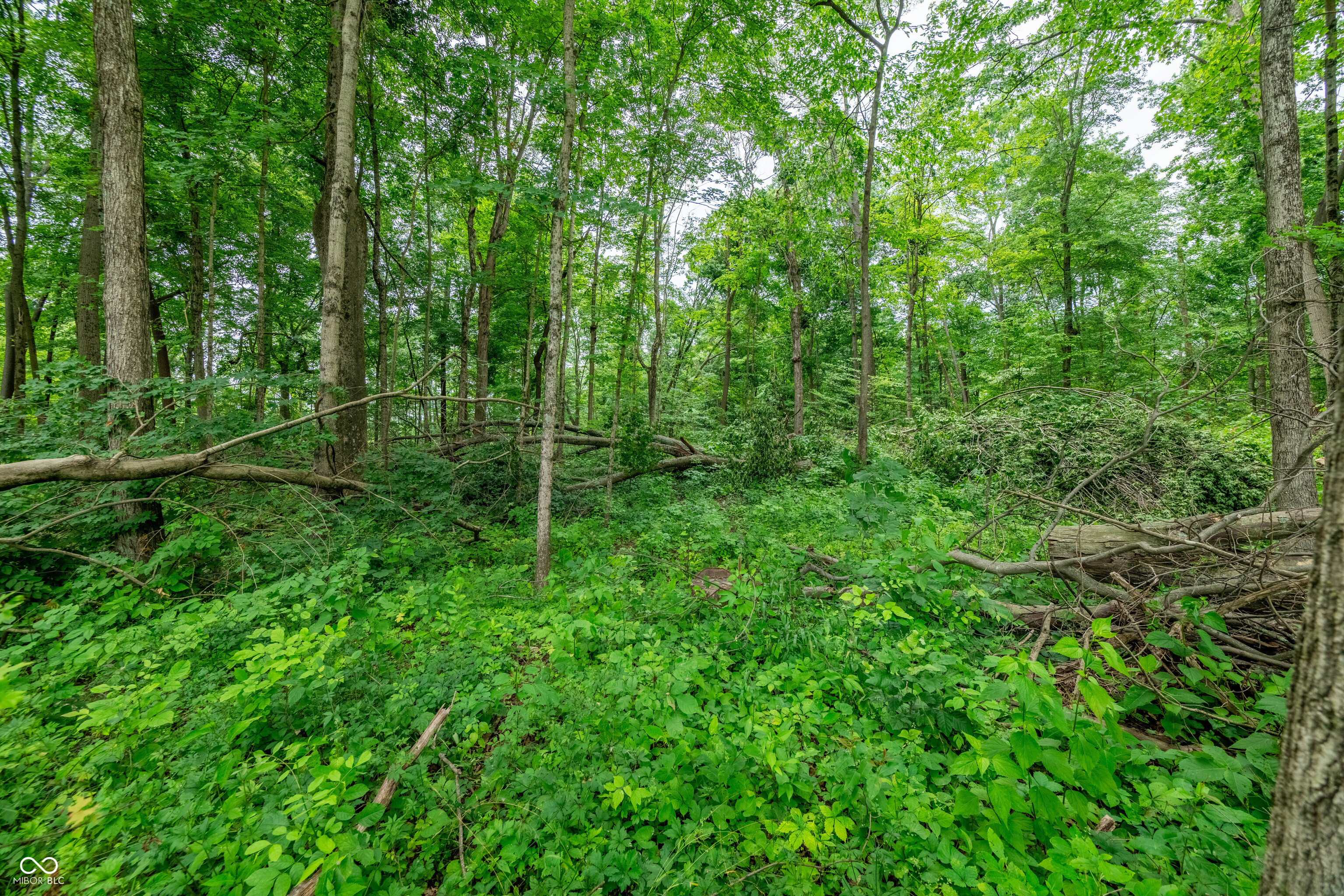 Tract 6 Hudson Hill Road Gosport, IN 47460 - Photo 7 of 21