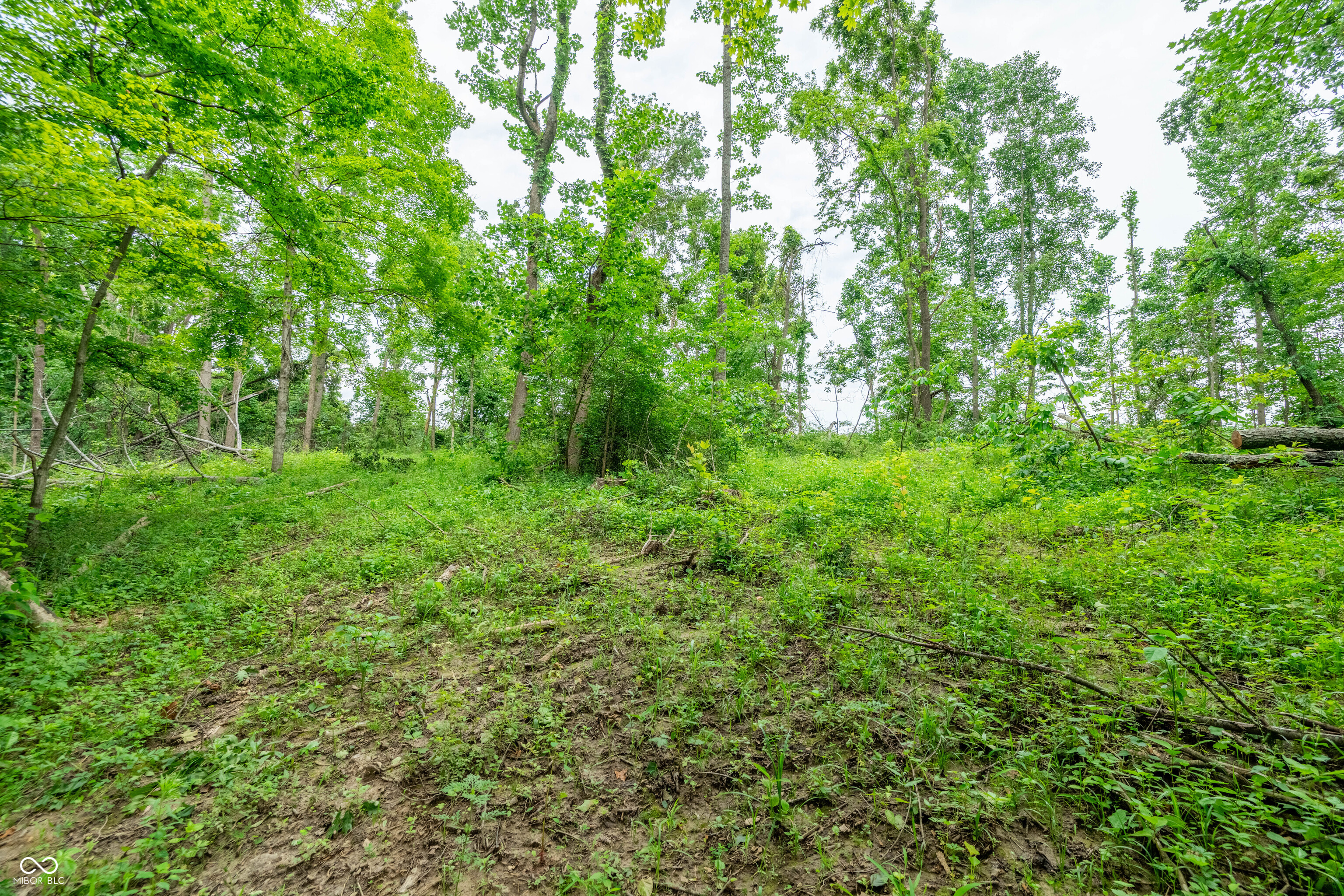 Tract 6 Hudson Hill Road Gosport, IN 47460 - Photo 10 of 21