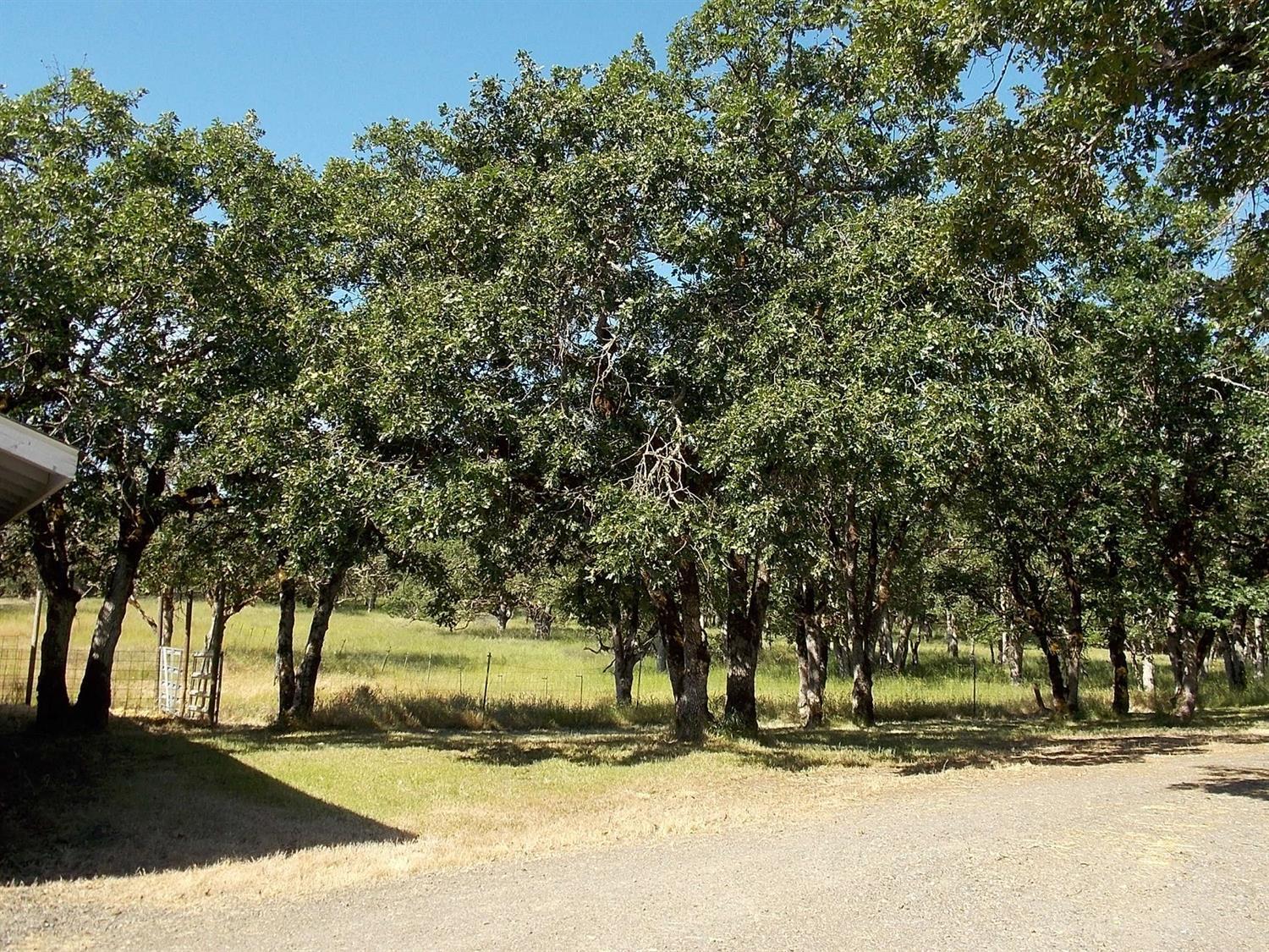 16565 Shiloh Road White City, OR 97503 - Photo 4 of 19 a view of park space