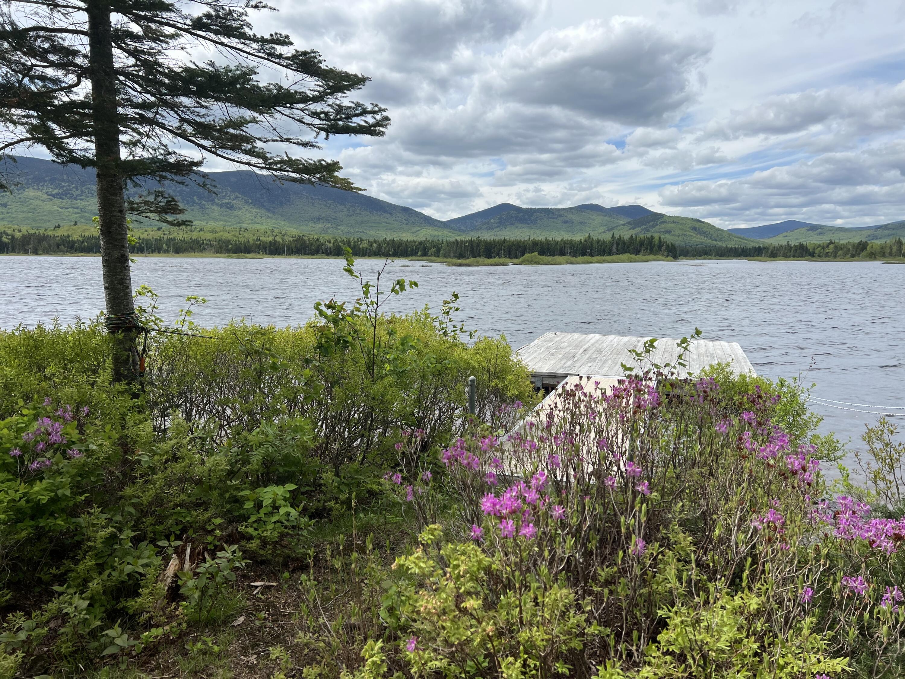 Lot 2 Kennebago River Road Rangeley, ME 04970 - Photo 1 of 14 IMG_7251