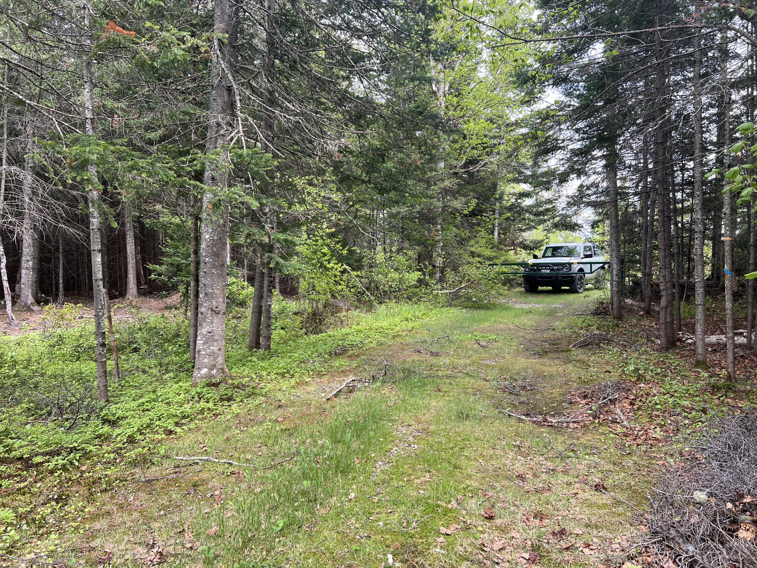 Lot 2 Kennebago River Road Rangeley, ME 04970 - Photo 11 of 14 IMG_7262