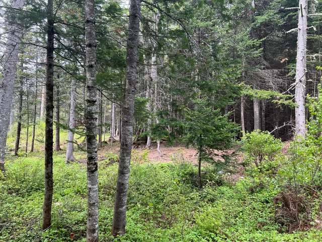 $549,000 | Lot 2 Kennebago River Road, Rangeley, ME 04970