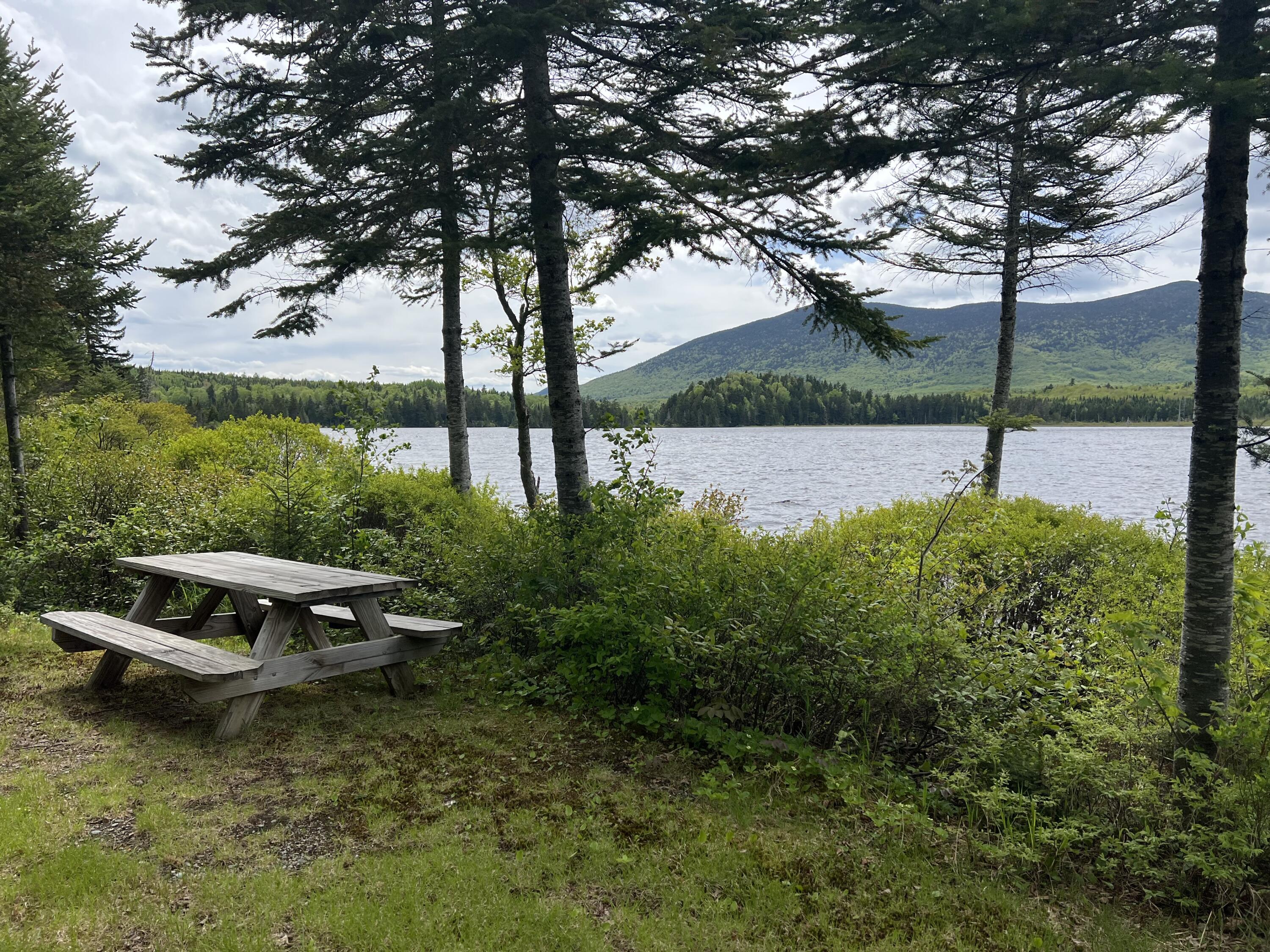 Lot 2 Kennebago River Road Rangeley, ME 04970 - Photo 2 of 14 IMG_7261