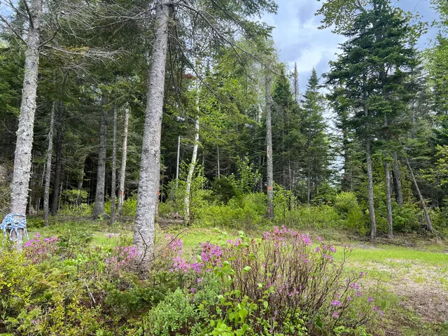 $549,000 | Lot 2 Kennebago River Road, Rangeley, ME 04970