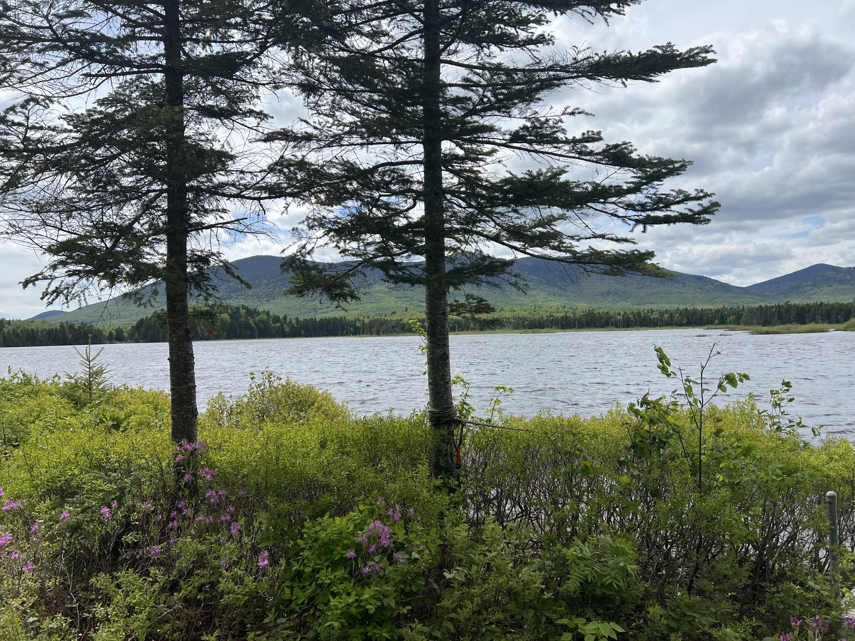 Lot 2 Kennebago River Road Rangeley, ME 04970 - Photo 9 of 14 IMG_7252
