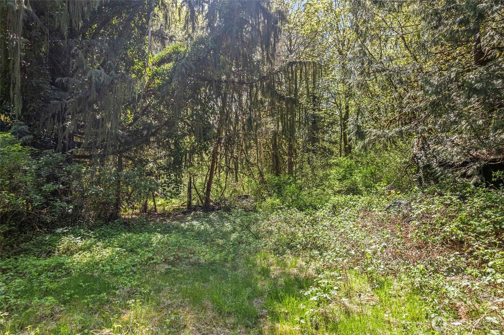 57174 State Rte 20 Rockport, WA 98283 - Photo 11 of 27