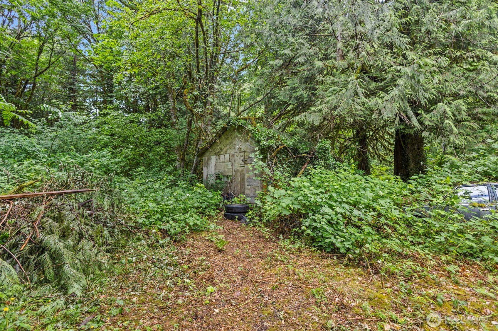 57174 State Rte 20 Rockport, WA 98283 - Photo 27 of 27