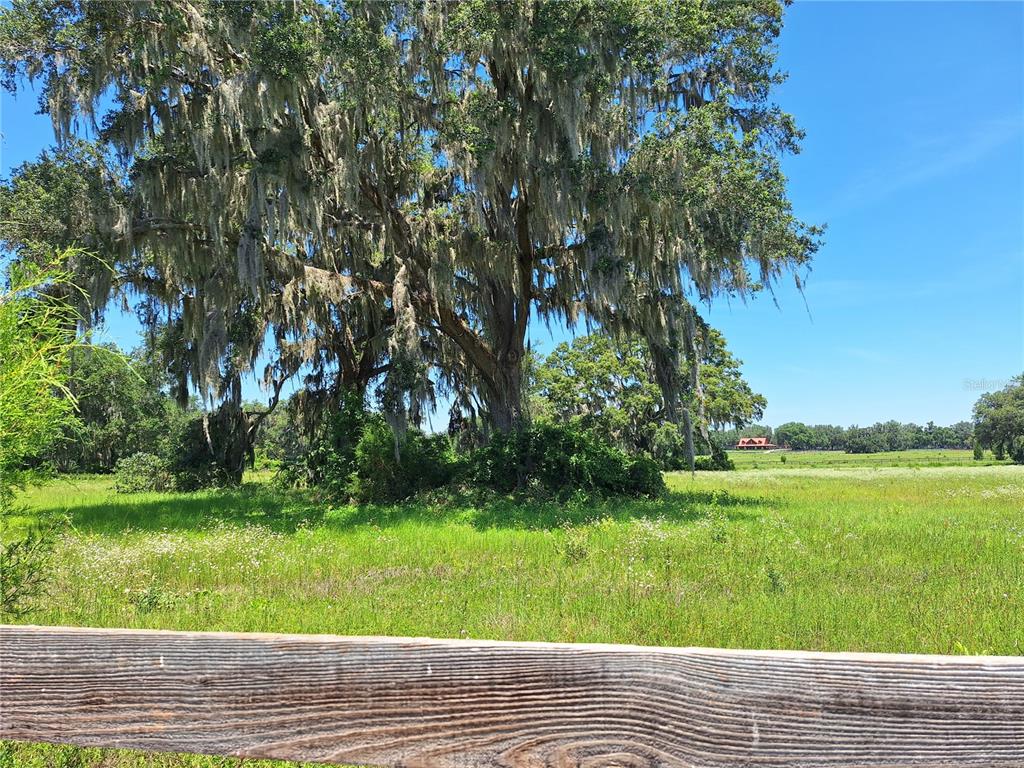 Northwest 154th Ave Road, Unit 13 Ocala, FL 34482 - Photo 1 of 1 a view of a yard with a tree