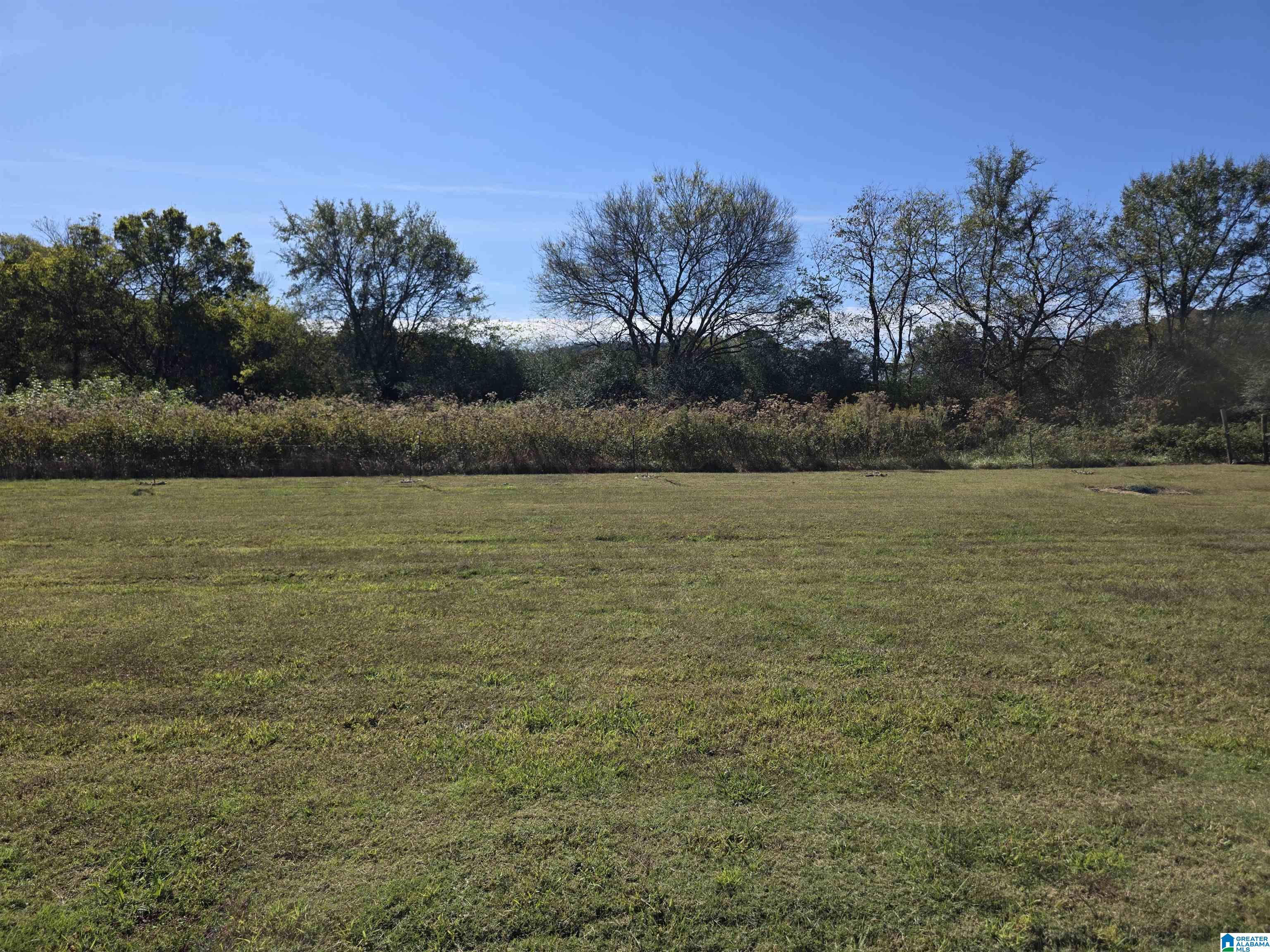 226 Old 227 Road Langston, AL 35755 - Photo 14 of 50