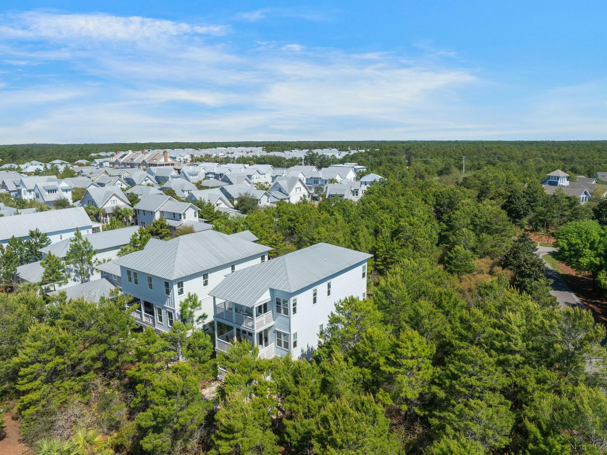 166 Clipper St Inlet Beach Inlet Beach, FL 32461 - Photo 62 of 71 tempImagehBUYWF