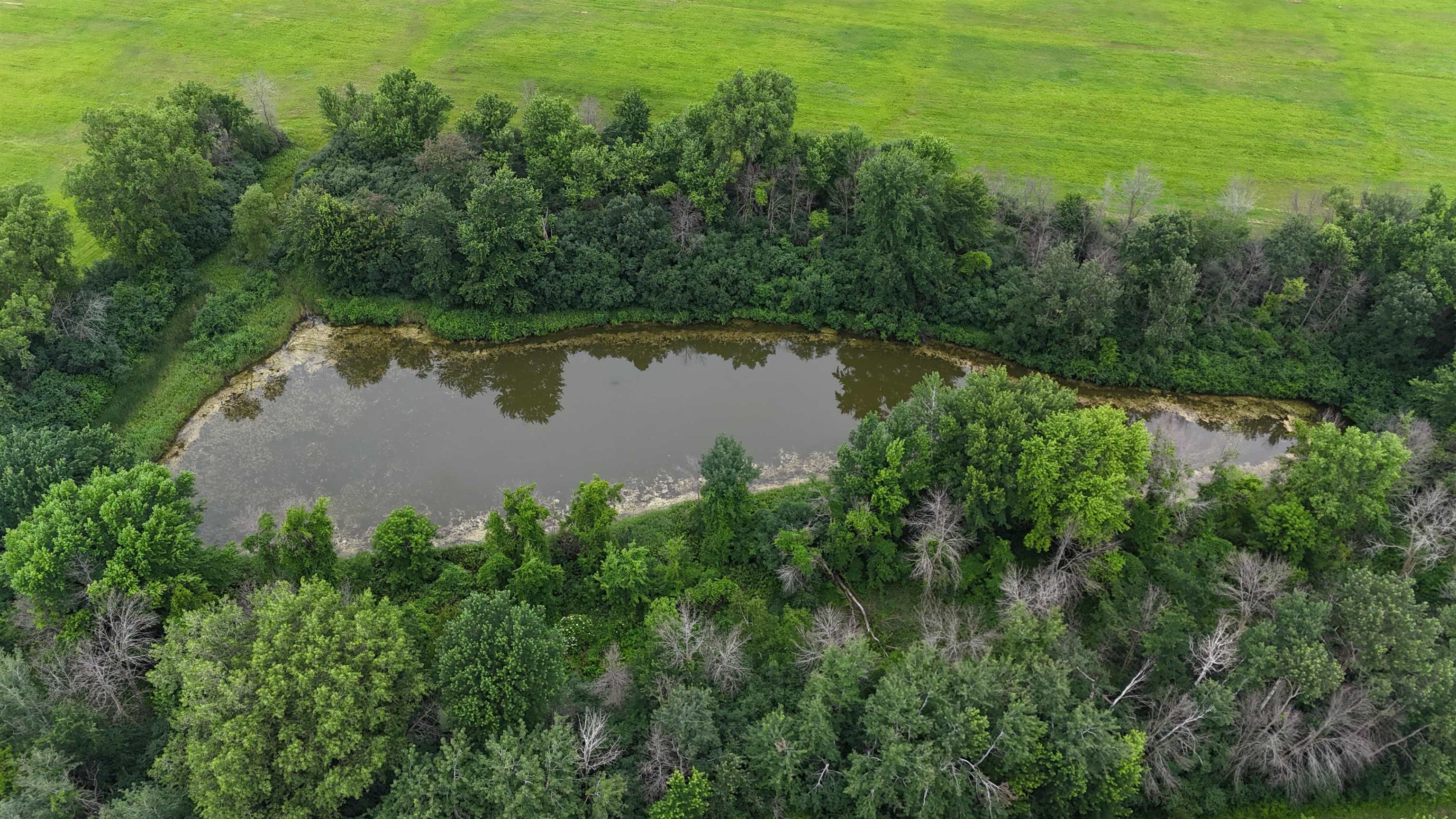N5533 Old 54 Road Shiocton, WI 54170 - Photo 11 of 13