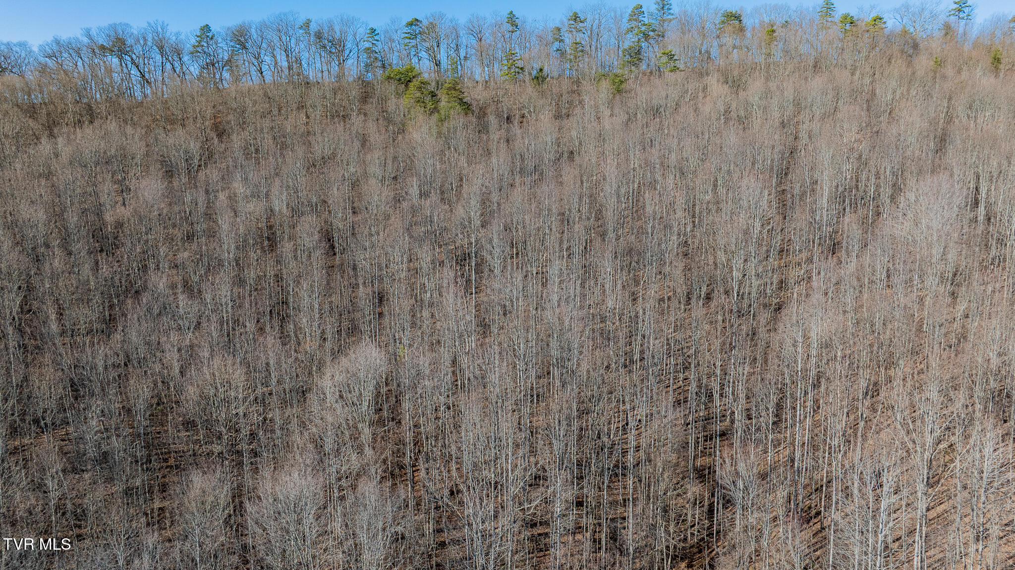 3822 Goshen Valley Road Rogersville, TN 37857 - Photo 14 of 17 dji_fly_20251219_142816_0898_17661727912