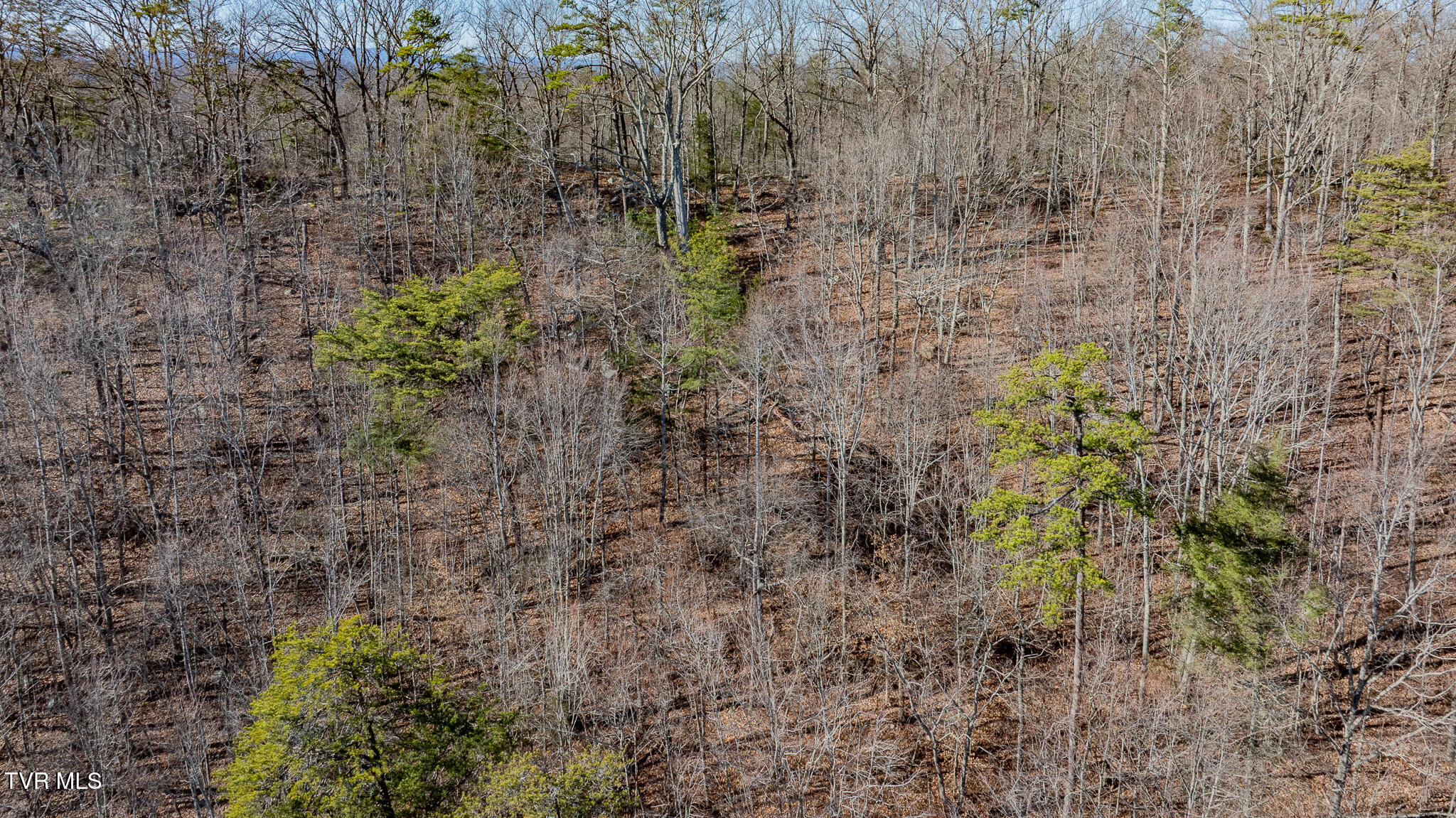 3822 Goshen Valley Road Rogersville, TN 37857 - Photo 15 of 17 dji_fly_20251219_142958_0907_17661727881