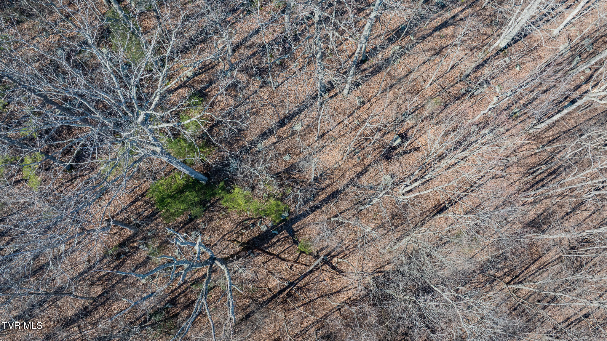 3822 Goshen Valley Road Rogersville, TN 37857 - Photo 16 of 17 dji_fly_20251219_143016_0910_17661727870